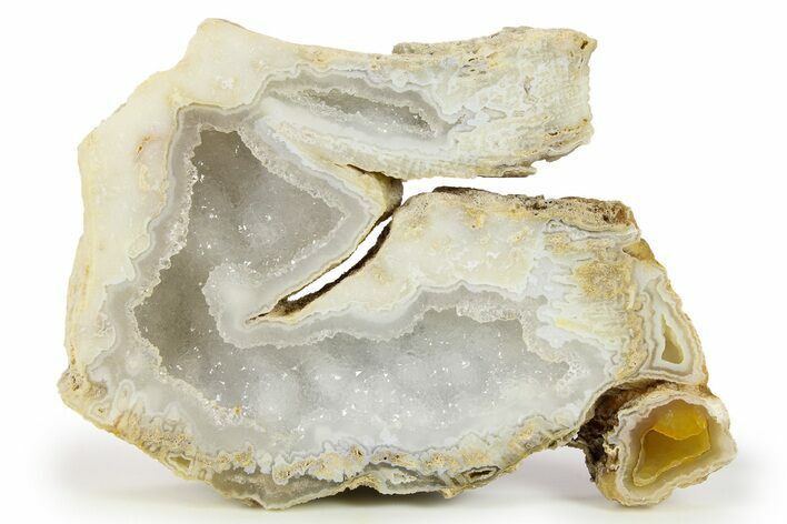 Agatized Fossil Coral Geode With Sparkly Quartz - Florida #271622